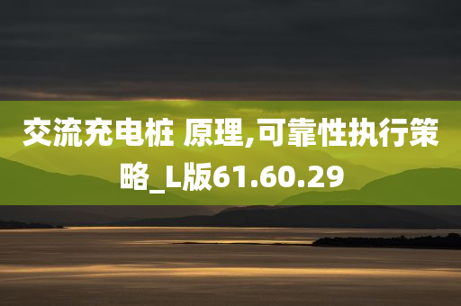 交流充电桩 原理,可靠性执行策略_L版61.60.29