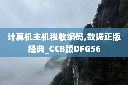 计算机主机税收编码,数据正版经典_CCB版DFG56