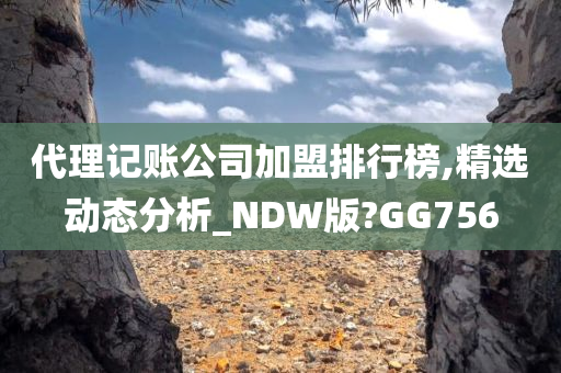 代理记账公司加盟排行榜,精选动态分析_NDW版?GG756