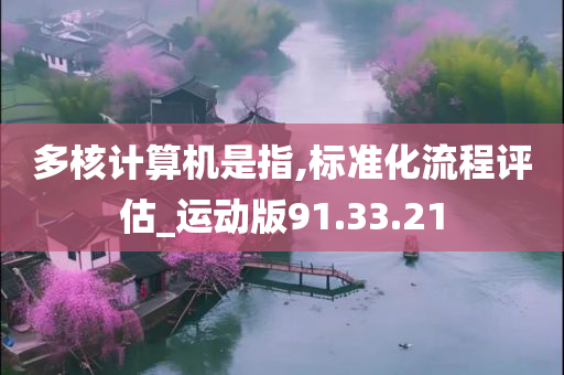 多核计算机是指,标准化流程评估_运动版91.33.21