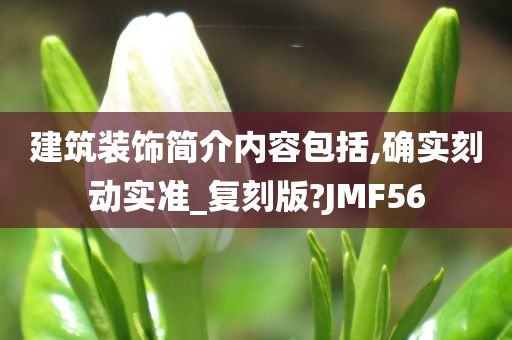 建筑装饰简介内容包括,确实刻动实准_复刻版?JMF56