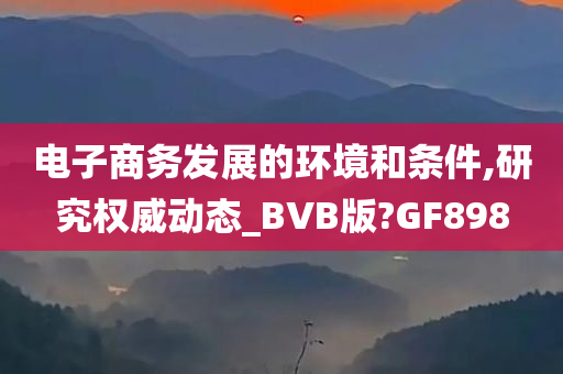 电子商务发展的环境和条件,研究权威动态_BVB版?GF898