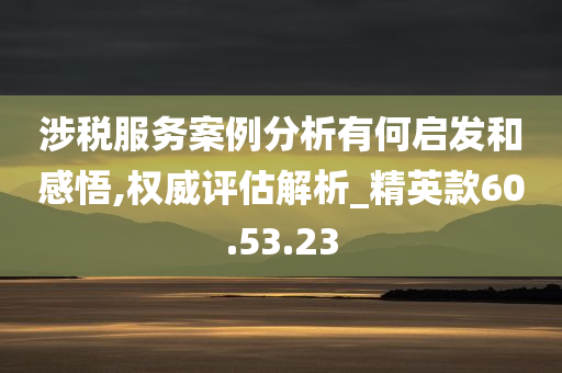 涉税服务案例分析有何启发和感悟,权威评估解析_精英款60.53.23