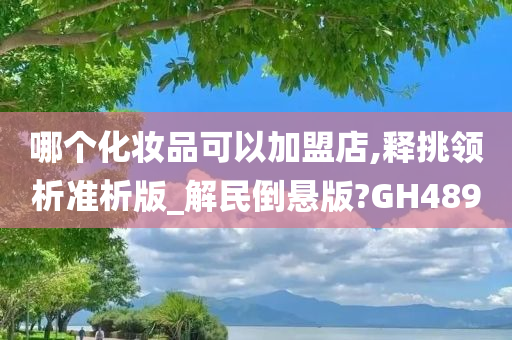 哪个化妆品可以加盟店,释挑领析准析版_解民倒悬版?GH489