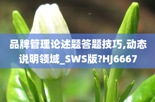 品牌管理论述题答题技巧,动态说明领域_SWS版?HJ6667