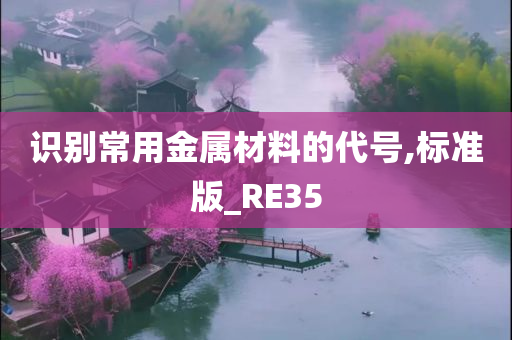 识别常用金属材料的代号,标准版_RE35