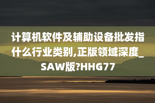 计算机软件及辅助设备批发指什么行业类别,正版领域深度_SAW版?HHG77