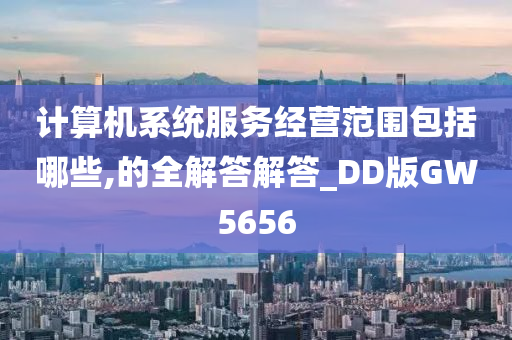 计算机系统服务经营范围包括哪些,的全解答解答_DD版GW5656