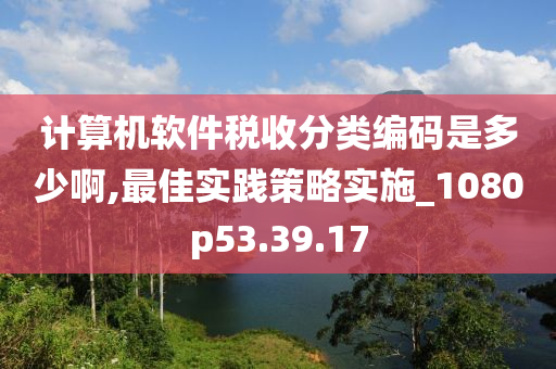 计算机软件税收分类编码是多少啊,最佳实践策略实施_1080p53.39.17