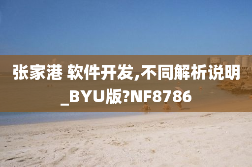 张家港 软件开发,不同解析说明_BYU版?NF8786