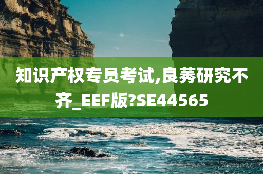 知识产权专员考试,良莠研究不齐_EEF版?SE44565