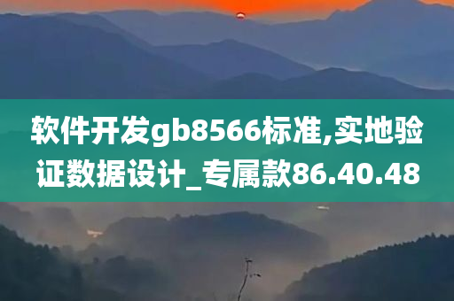 软件开发gb8566标准,实地验证数据设计_专属款86.40.48