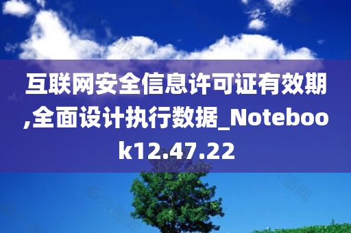 互联网安全信息许可证有效期,全面设计执行数据_Notebook12.47.22