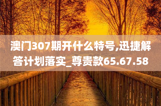 澳门307期开什么特号,迅捷解答计划落实_尊贵款65.67.58