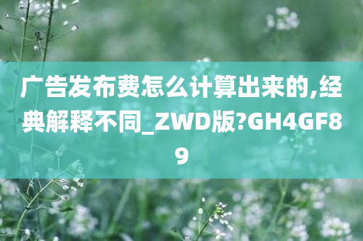 广告发布费怎么计算出来的,经典解释不同_ZWD版?GH4GF89