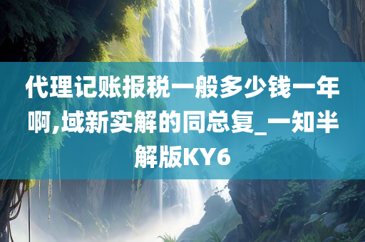 代理记账报税一般多少钱一年啊,域新实解的同总复_一知半解版KY6