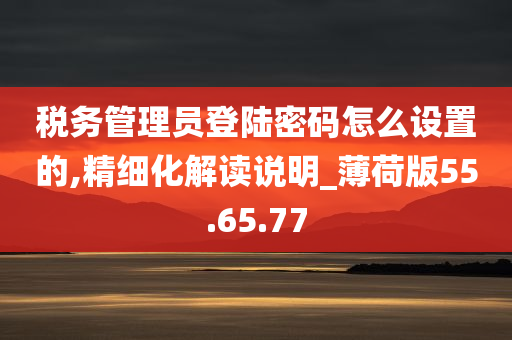 税务管理员登陆密码怎么设置的,精细化解读说明_薄荷版55.65.77