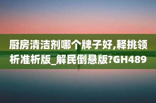 厨房清洁剂哪个牌子好,释挑领析准析版_解民倒悬版?GH489