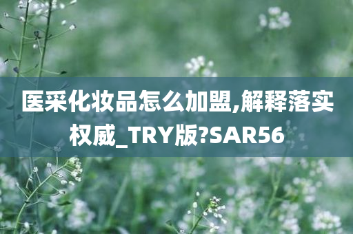 医采化妆品怎么加盟,解释落实权威_TRY版?SAR56