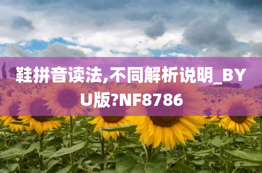 鞋拼音读法,不同解析说明_BYU版?NF8786