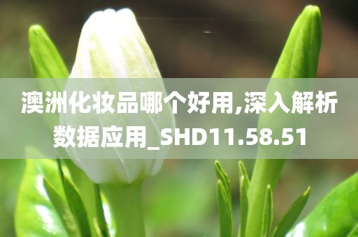 澳洲化妆品哪个好用,深入解析数据应用_SHD11.58.51