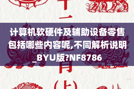 计算机软硬件及辅助设备零售包括哪些内容呢,不同解析说明_BYU版?NF8786