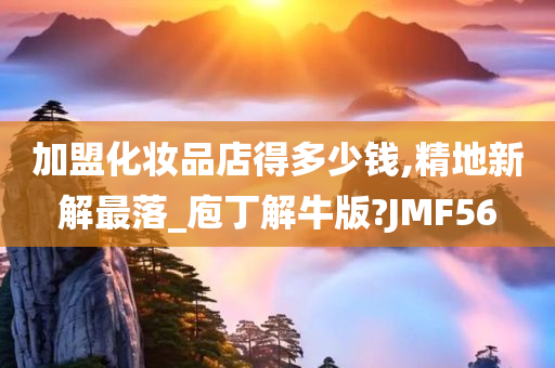 加盟化妆品店得多少钱,精地新解最落_庖丁解牛版?JMF56