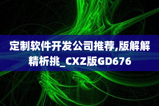 定制软件开发公司推荐,版解解精析挑_CXZ版GD676