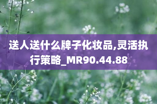 送人送什么牌子化妆品,灵活执行策略_MR90.44.88