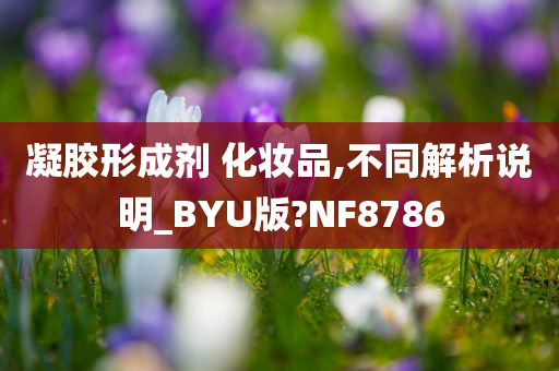 凝胶形成剂 化妆品,不同解析说明_BYU版?NF8786