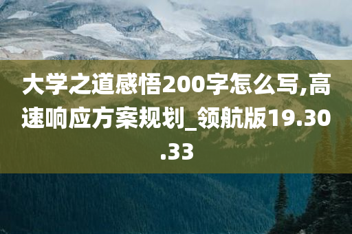 大学之道感悟200字怎么写,高速响应方案规划_领航版19.30.33