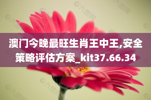 澳门今晚最旺生肖王中王,安全策略评估方案_kit37.66.34