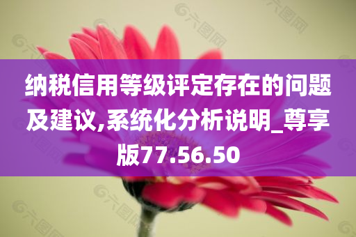 纳税信用等级评定存在的问题及建议,系统化分析说明_尊享版77.56.50