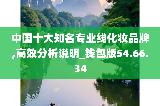 中国十大知名专业线化妆品牌,高效分析说明_钱包版54.66.34