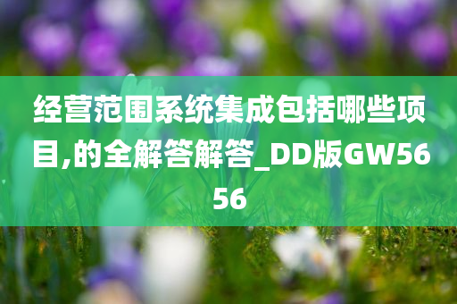 经营范围系统集成包括哪些项目,的全解答解答_DD版GW5656