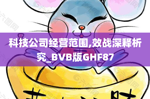 科技公司经营范围,效战深释析究_BVB版GHF87