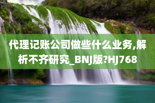 代理记账公司做些什么业务,解析不齐研究_BNJ版?HJ768