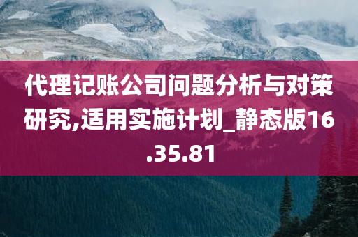 代理记账公司问题分析与对策研究,适用实施计划_静态版16.35.81