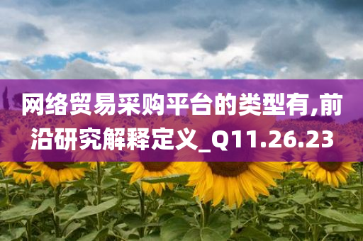 网络贸易采购平台的类型有,前沿研究解释定义_Q11.26.23