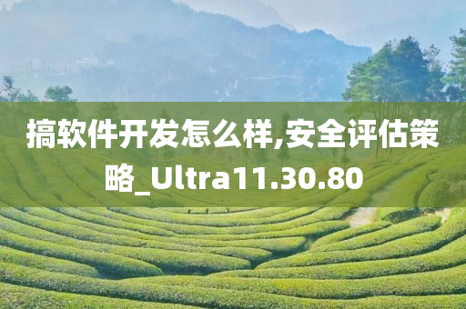 搞软件开发怎么样,安全评估策略_Ultra11.30.80