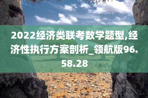 2022经济类联考数学题型,经济性执行方案剖析_领航版96.58.28