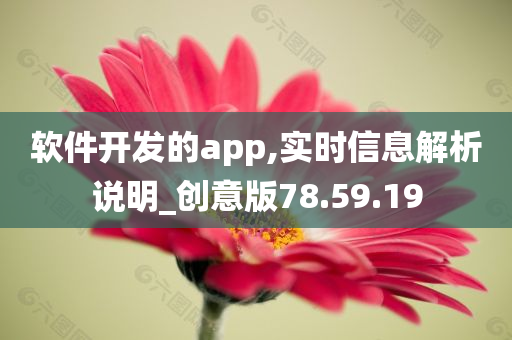 软件开发的app,实时信息解析说明_创意版78.59.19