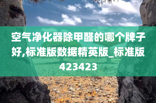 空气净化器除甲醛的哪个牌子好,标准版数据精英版_标准版423423