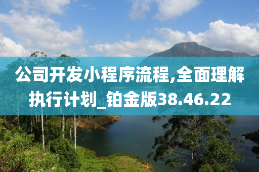 公司开发小程序流程,全面理解执行计划_铂金版38.46.22