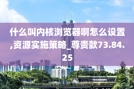 什么叫内核浏览器啊怎么设置,资源实施策略_尊贵款73.84.25