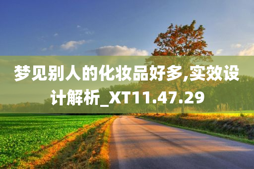 梦见别人的化妆品好多,实效设计解析_XT11.47.29