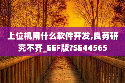 上位机用什么软件开发,良莠研究不齐_EEF版?SE44565