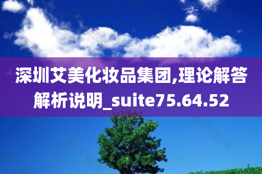 深圳艾美化妆品集团,理论解答解析说明_suite75.64.52