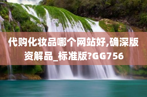 代购化妆品哪个网站好,确深版资解品_标准版?GG756