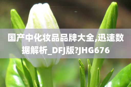 国产中化妆品品牌大全,迅速数据解析_DFJ版?JHG676